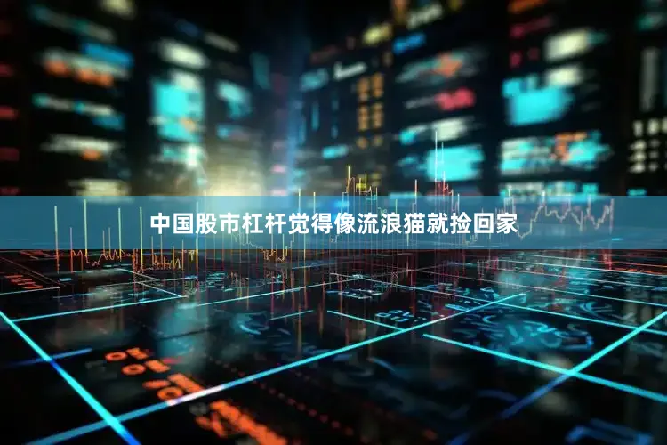 中国股市杠杆觉得像流浪猫就捡回家
