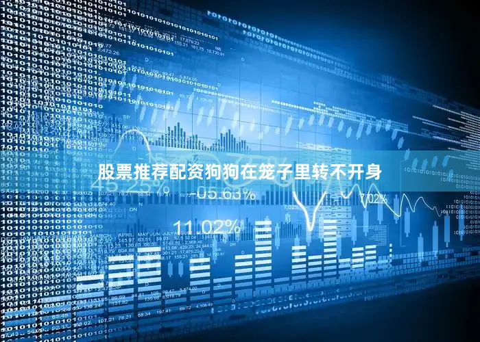 股票推荐配资狗狗在笼子里转不开身