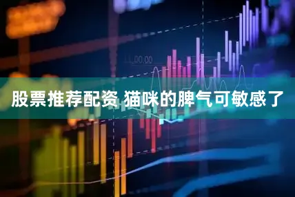 股票推荐配资 猫咪的脾气可敏感了