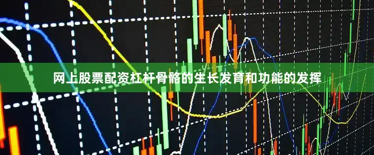 网上股票配资杠杆骨骼的生长发育和功能的发挥